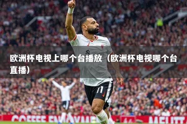 欧洲杯电视上哪个台播放（欧洲杯电视哪个台直播）
