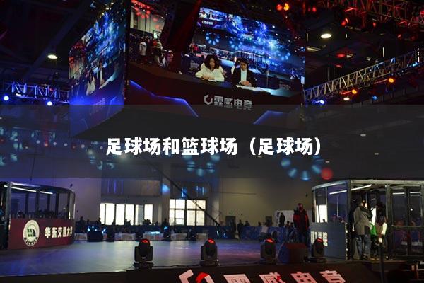 足球场和篮球场（足球场）