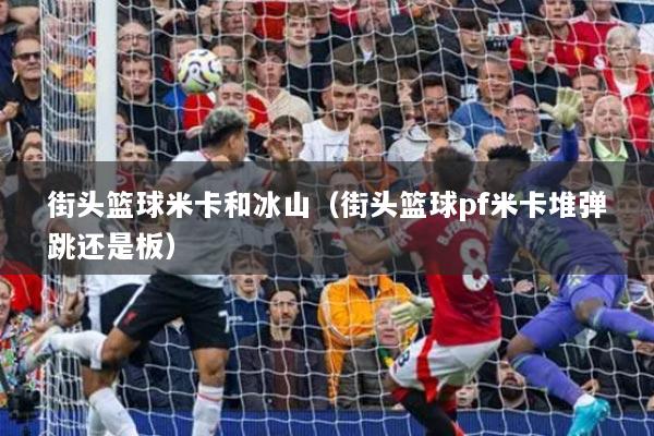 街头篮球米卡和冰山（街头篮球pf米卡堆弹跳还是板）