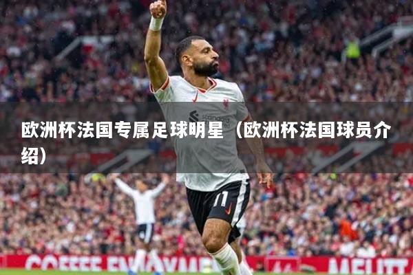 欧洲杯法国专属足球明星（欧洲杯法国球员介绍）