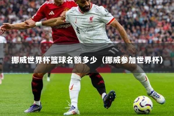 挪威世界杯篮球名额多少（挪威参加世界杯）