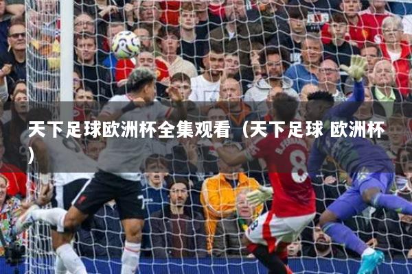 天下足球欧洲杯全集观看(天下足球 欧洲杯)