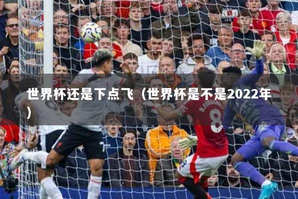 详细阅读:世界杯还是下点飞(世界杯是不是2022年) 世界杯还是下点飞(世界杯是不是2022年)