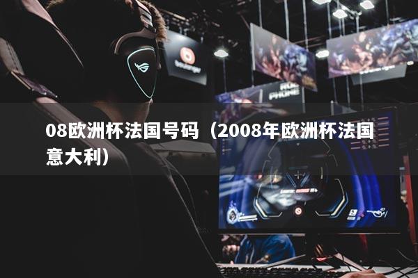 08欧洲杯法国号码（2008年欧洲杯法国意大利）